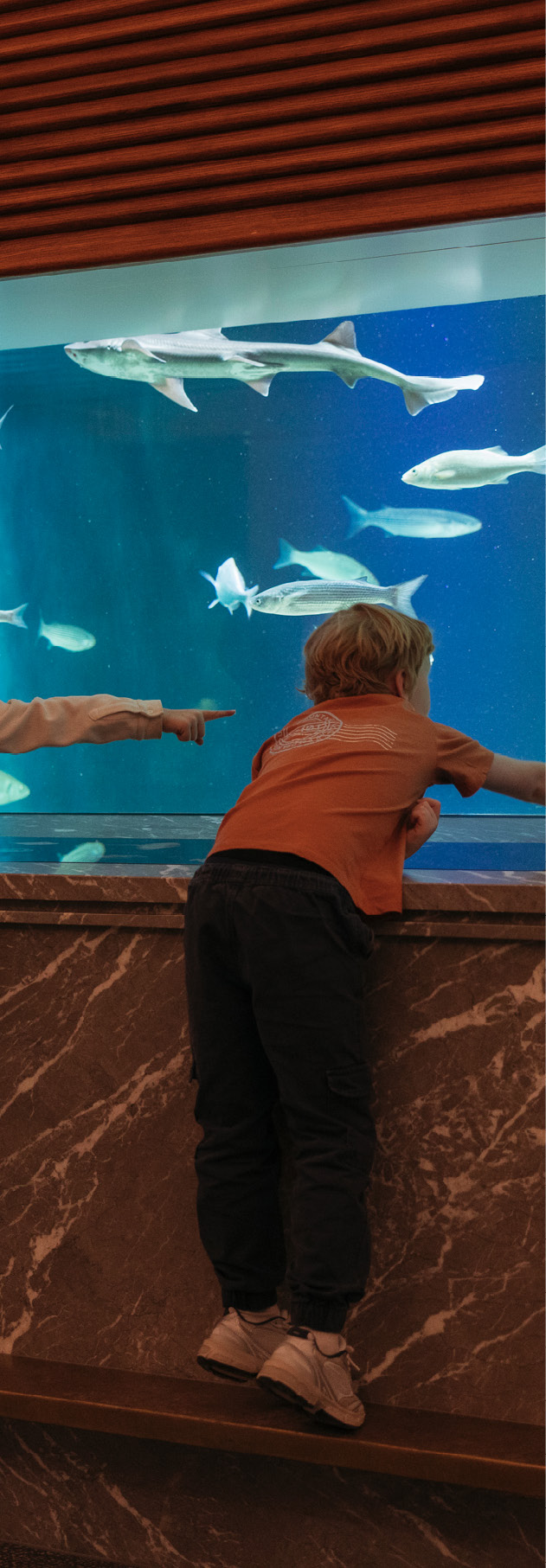 Kinderen bekijken het aquarium van de Atlantische Oceaan.
