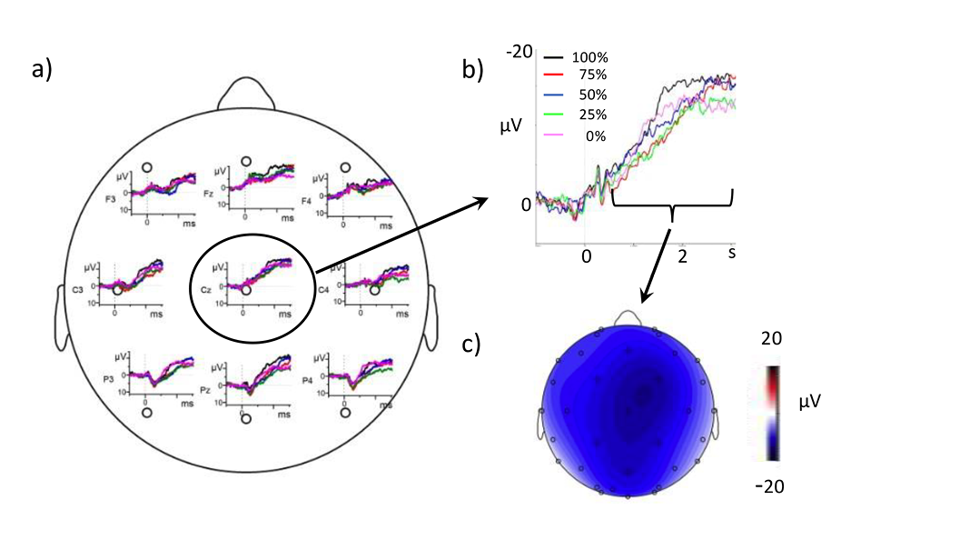 Voorbeeld van een gemeten ERP – Event Related Potentials – bij een respondent.
