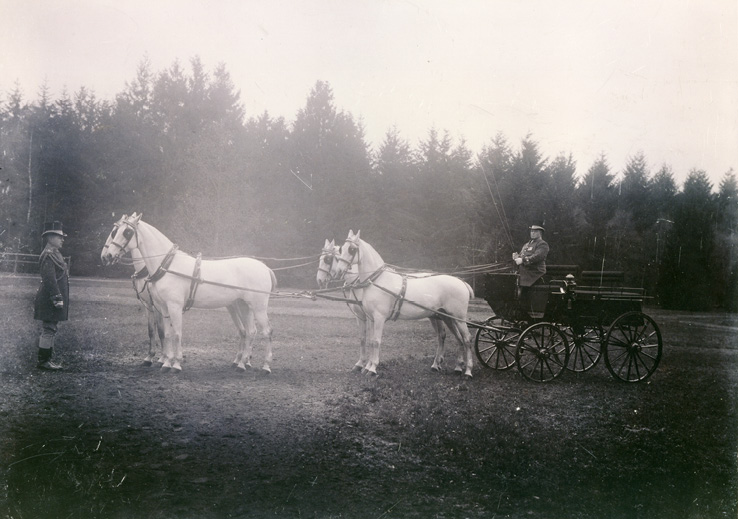Jachtwagen met Lipizzaners, fotograaf onbekend. Collectie Koninklijke Verzamelingen, Den Haag. Foto: Koninklijke Verzamelingen.