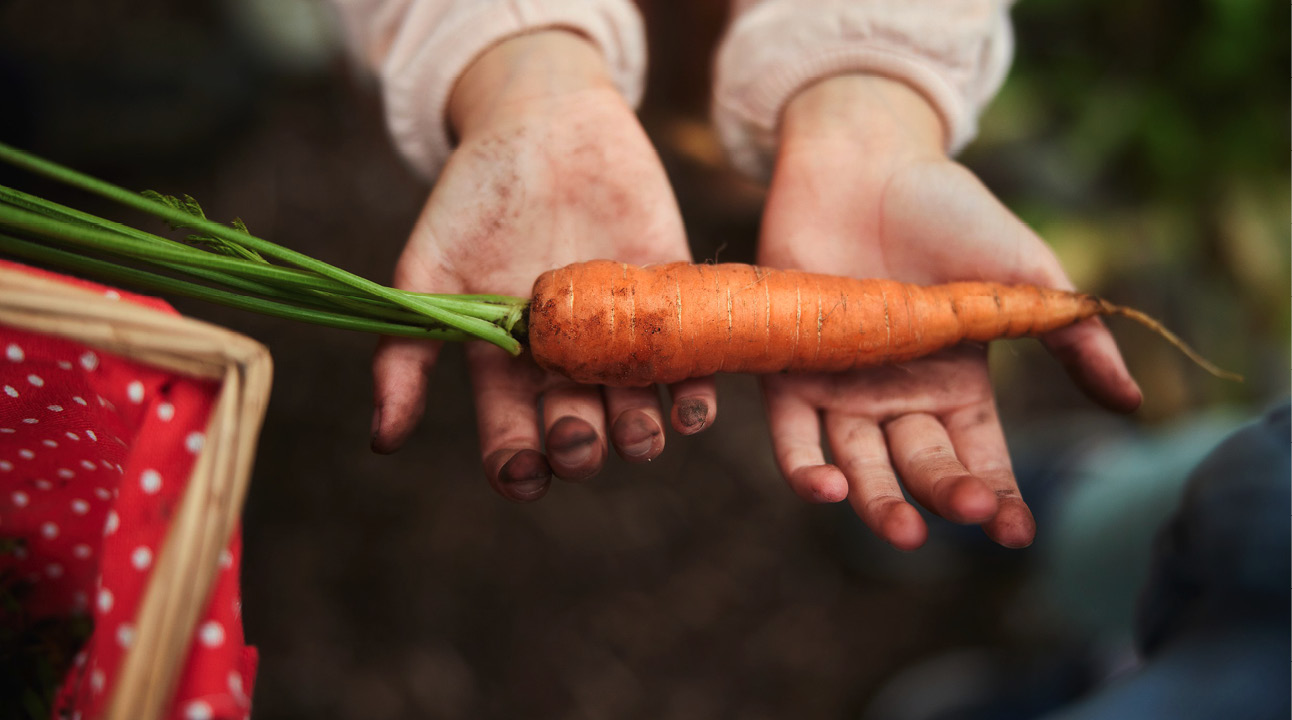 Nature Experience: bijvoorbeeld meehelpen in de tuin.