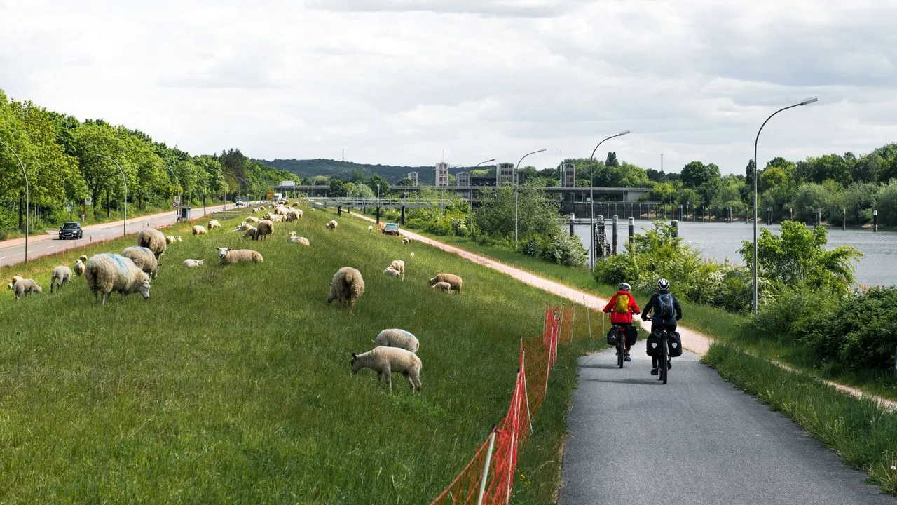 Nieuwe LF Rijn-Limesroute versterkt Nederlands fietsnetwerk