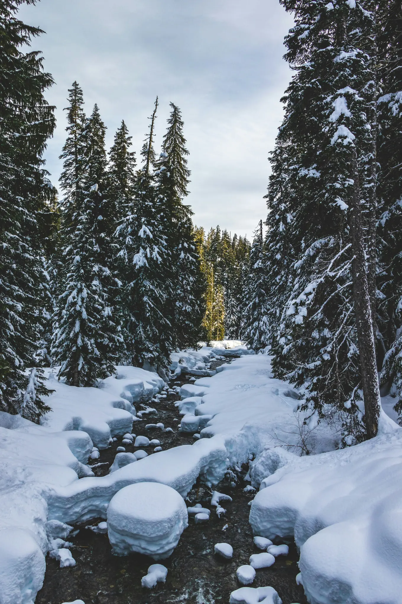 unsplash